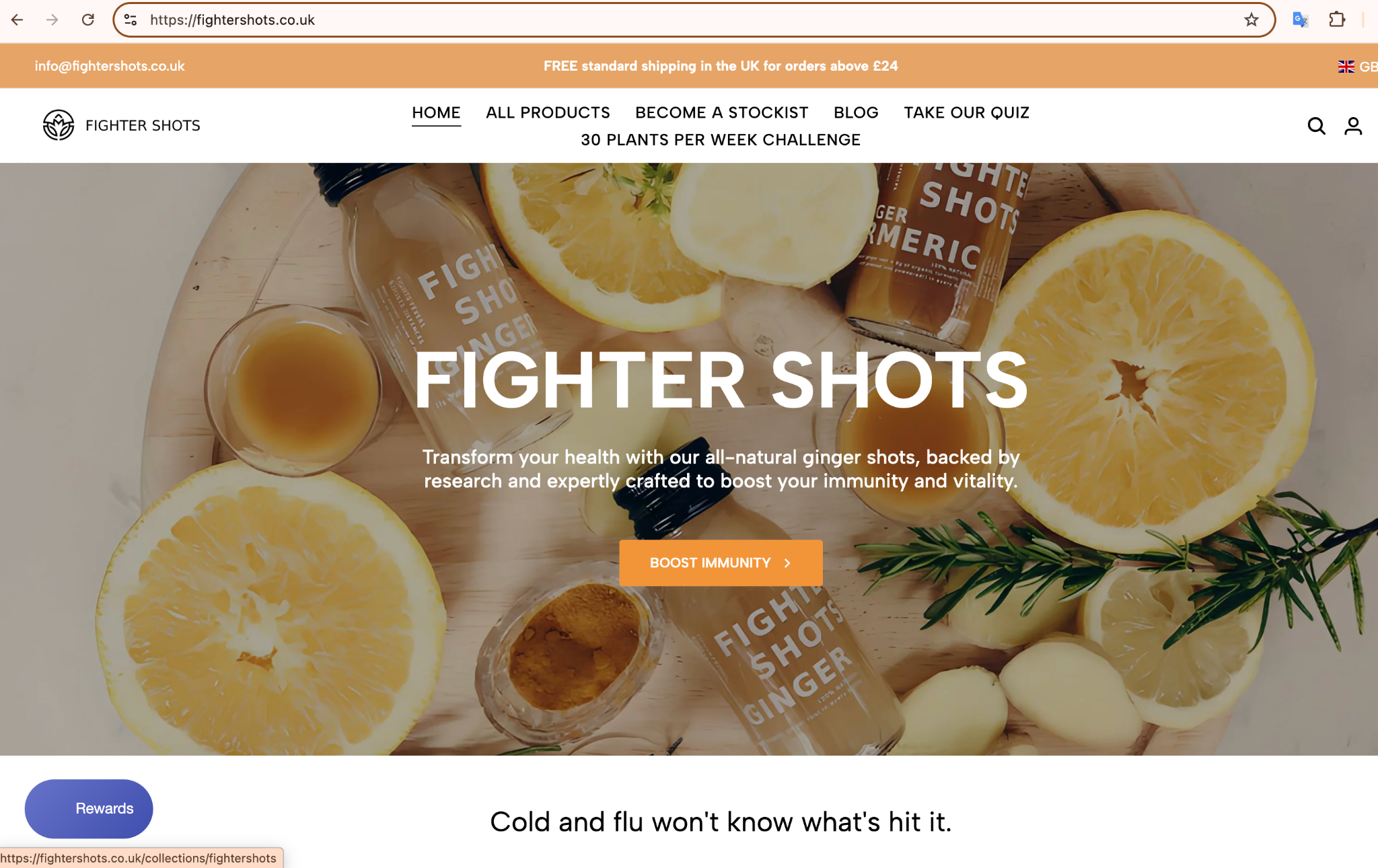 Evidence A: Flu Claim